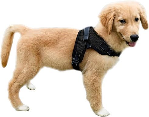 No Pull Reflective Adjustable Dog Harness with Handle - Comfortable Soft Mesh for Small, Medium, Large Dogs