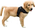 No Pull Reflective Adjustable Dog Harness for Small Medium Large Dogs, Comfortable Soft Mesh, Easy On (Black) X-Small