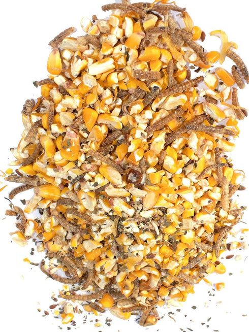 (10 Pampered Chicken Mama Mealworm, Black Soldier Fly Larvae, Corn, Flax, & Herb Treat Pounds) for Backyard Chickens