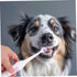 2 Pack FOMIYES Electric Pet Toothbrush Safe Gentle on Gums Portable for Travel Dog Oral Care Random Color