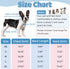 Queenmore Striped Dog T-Shirt, Long Sleeve Cotton Shirt for Small Medium Dogs Cats, Outfits for Frenchie, Dachshund,