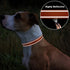 TagME Reflective Nylon Dog Collars - Adjustable Classic Pet Collar with Quick Release Buckle for Small Dogs, Orange