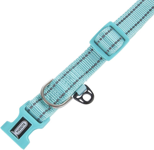 Reflective Nylon Dog Collar - Adjustable Neoprene Padding for Small Dogs (9.8"-15", Teal)