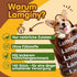 Immune 13 140 Mushroom Chews for Dogs, Turkey Tail Mushroom for Dogs, Health, Digestive, Skin, Energy, Joint Support