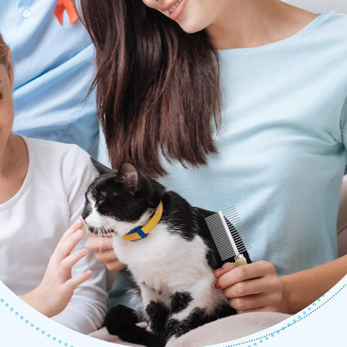 2 Pcs Dog Metal Combs - Cat Wooden Handle Grooming Comb, Double Side Metal Comb for Dogs and Cats