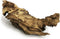 kathson Large Natural Aquarium Driftwood, Sinkable Wood Decor for Fish Tank, Terrarium Ornament (12"-17")
