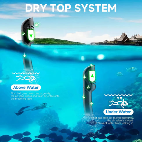 Qheng Set 180Panoramic Snorkeling Gear for Adults, Dry-Top Snorkel Scuba Diving mask, Wide View Professional Snorkeling