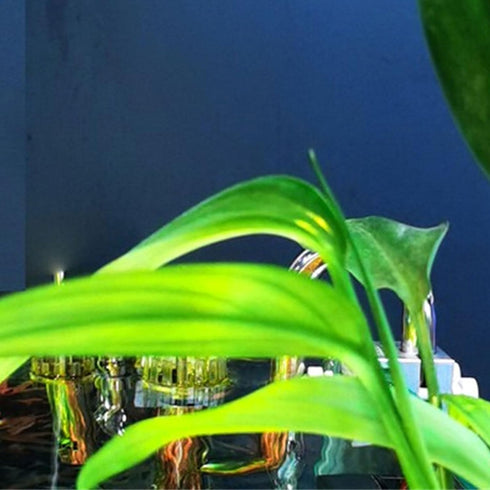 Obotsnoi Plant Stand Holder for Decorative Cups Aquariums for Water Emersed Decorations Bulk Aquarium Wall