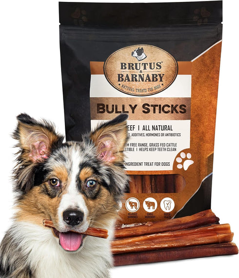 BRUTUS & BARNABY Bully Sticks for Large Dogs - (5-Pack) Grain Free, Low Odor, 12" Bully Bones