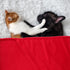 PartyKindom Dog Blankets for Small Medium Large Dogs, Washable Soft Plush Reversible Pet Blanket, Couch Protector Cover