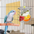 Hypeety Parrot Foraging Feeder, Stainless Steel, 4.09 x 4.09 x 3.85 in, Bird-safe, Dishwasher Safe, Filled with Nuts,