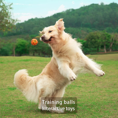 Leejec Dog Toys, 2.5" Interactive Light Up Balls, Durable Rubber Fetch Training Balls, Pet Birthday Gift, 3-Pack