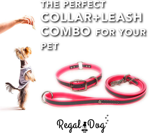 Regal Dog Products Medium Pink Reflective Dog Collar and Leash Set - Waterproof Biothane with Heavy Duty D Ring