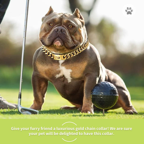 Gold Dog Chain Collars 18K Metal Cuban Link with Secure Buckle for Small Medium Large Dogs
