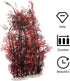 2 13.8 inch balacoo Pcs Aquarium Decor Plastic Plant, Red Coral Tree for Fish Tank Decoration, Artificial Plants