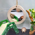 3.1 Inches Hermit Crab Mirror Toy, Reptile Mirror Toy for Small Animal Cage Tank Decor, Suitable for Hermit Crab