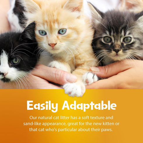 All Natural Clumping Cat Litter, 10 Pound (160oz 1 Pack), Alternative to Clay and Pellet Litter