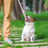 Sparkly Dog Leash with Rhinestones - PU Leather Training Leash for Small Dogs, Sparkly Studded Walking Chain