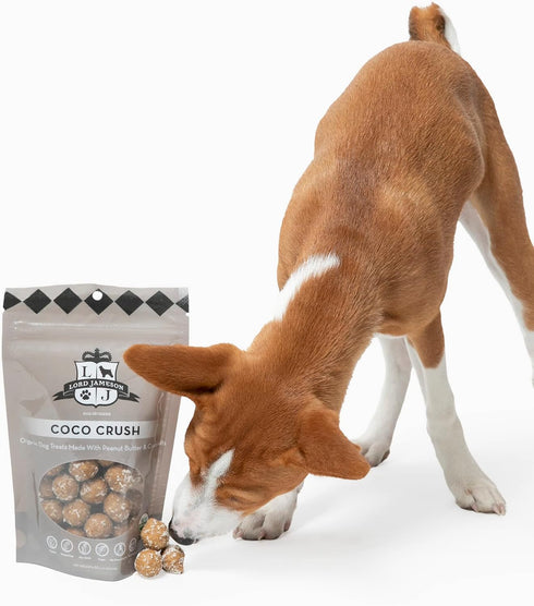 Coco Crush Organic Dog Treats, Organic Dog Treats Made with Peanut Butter and Coconut, 6 oz Bag