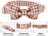 Elegant Little Tail Dog Collar with Bow, Comfortable Adjustable Bowtie Dog Collars for Small Medium Large Dogs