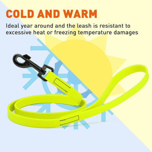 Dogline Biothane Waterproof Dog Leash, Strong Coated Nylon Webbing, 4 or 6 ft Lead for Small or Large Dogs