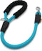 Braided Rope Dog Leash for Medium/Large Dogs, Walking Training Lead, 2FT, Light Blue