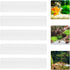 5-Hole DOITOOL Acrylic Aquarium Decor Shrimp Hideout Shelter Fish Tank Cave Breeding Box for Shrimp and Small Fish