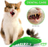Ronton Catnip Toy - Durable Hard Rubber Cat Dental Care Interactive Toothbrush Chew Toy (2 Pack)