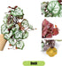 Woyrise Reptile Artificial Plants for Terrarium Decor, Amphibian Habitat Hideout Bearded Dragon Tank Decorations fit
