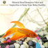 SunGrow Betta Balls, Water Conditioner with Beneficial Elements for Tropical Fish, 10 Pcs per Pack
