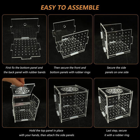 Acrylic Fish Breeding Box, Transparent Isolation Box Hatchery Incubator with Suction Cups for Guppy Shrimp Clownfish