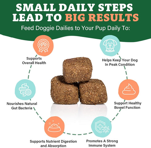 Doggie Dailies Probiotics for Dogs, Advanced Probiotics with Prebiotics, Supports Immune System and Digestive Health