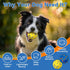Pool(4 Pack) Indestructible Dog Ball Toy, Durable Dog Tennis Balls for Aggressive Chewers, High Bounce & Floating Balls