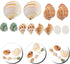 12pcs Set Aquarium Natural Conch Shells Hermit Crab Replacement Shells Fish Tank Landscaping Ornament Decorative Micro