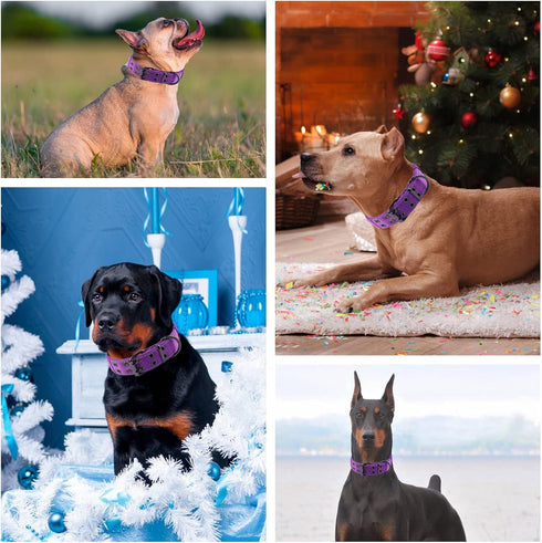 Reflective Dog Collar Heavy Duty Tactical with Control Handle and Metal Buckle for Dog Training (Large, Purple)
