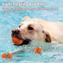 Dog Balls for Aggressive Chewers, Indestructible Floating Bouncy Balls, Lightweight Chew Balls, Fetch Balls for Large &