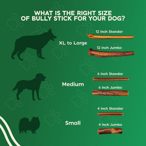 6 Inch 8oz MASSTICK Normal Bully Sticks for Dogs Thick Minimal Odor Beef Dog Chews Fully Digestible Chew Sticks