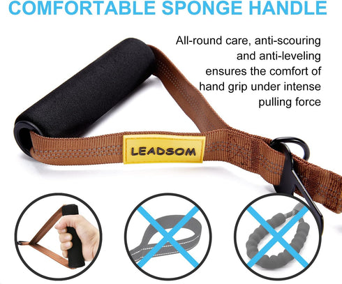 6FT Heavy Duty Elastic Bungee Dog Leash, Shock Absorbing with Comfortable Padded Handle for Medium & Large Dogs