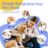 Hypoallergenic Pet Cleaning Glove Wipes for Dogs & Cats, Disposable No-Rinse Grooming Wipes, 6 Pcs for Daily Care