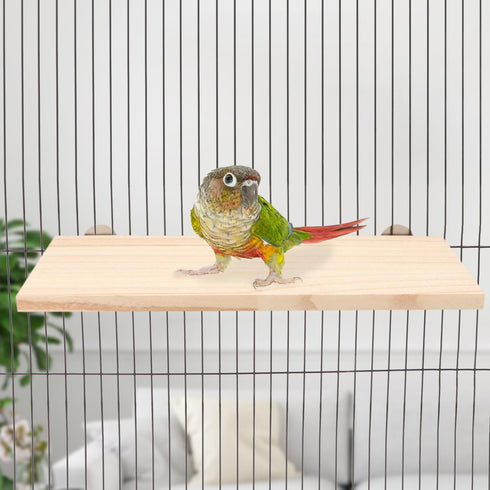 Wontee Wooden Bird Perch Stand for Cockatiels, Conures, Rats, Gerbils, Chinchillas, and Squirrels (M)