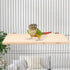 Wontee Wooden Bird Perch Stand for Cockatiels, Conures, Rats, Gerbils, Chinchillas, and Squirrels (M)