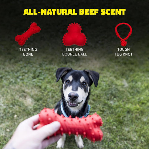 Playology Puppy Teething Bone Dog Toys - Large Chew Toys with Squeaker for Puppies 4-8 Months, All Breeds