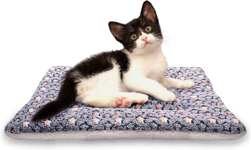 FJWYSANGU Fluffy Pet Cat Blanket, Soft Coral Velvet Puppy Cushion Mat, Warm Cover Pad in Dark Blue