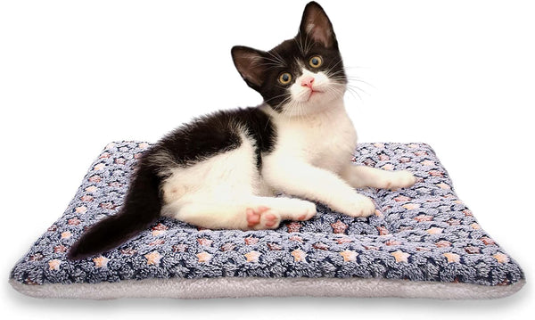 FJWYSANGU Fluffy Pet Cat Blanket, Soft Coral Velvet Puppy Cushion Mat, Warm Cover Pad in Dark Blue