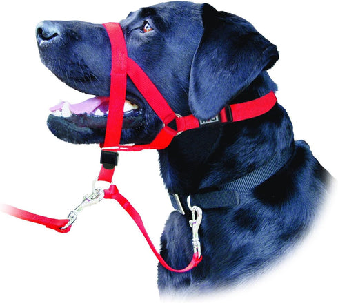 Coastal Pet Walk 'n Train Dog Head Halter, No-Pull Harness, Black, XLarge