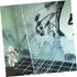 Fish Tank Board Separator: 10 Gallon Betta Fish Tank with Divider, Flapper Accessories, Portable Acrylic Decor