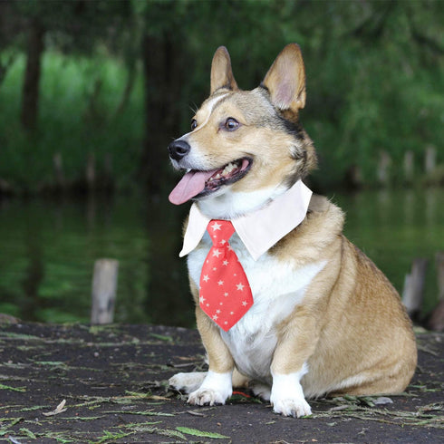 Segarty Neck Ties for Dogs, 6pcs Dog Tie, Adjustable White Dog Collar with Formal Classy Stripped Neck Tie for Pet Cats Small and Medium Boy Puppy Dog Tuxedo Wedding Birthday Gift