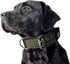 4-Layer Nylon Collar for Large Dogs, Tactical Military Training Heavy Duty Dog Collar for Extra Large Breeds