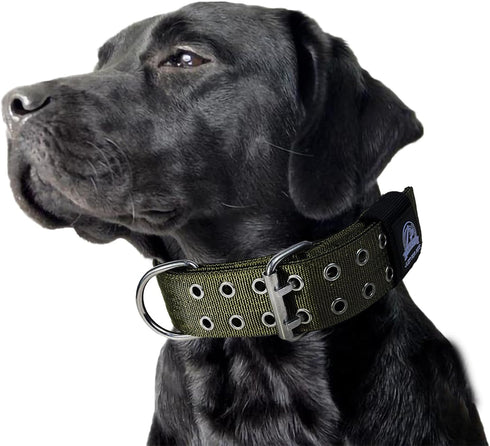 4-Layer Nylon Dog Collar for Large Dogs - Tactical Military Training Heavy Duty for Extra Large Breeds (21IN-27IN,