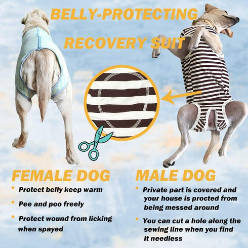 Dog’s Recovery Suit Post Surgery Shirt for Male Female Dog, E-Collar Alternative Wound Protective Clothes (Purple